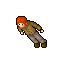 Man In The Cave
